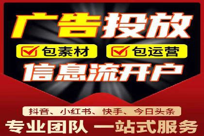 SEM运营公司经典案例点评